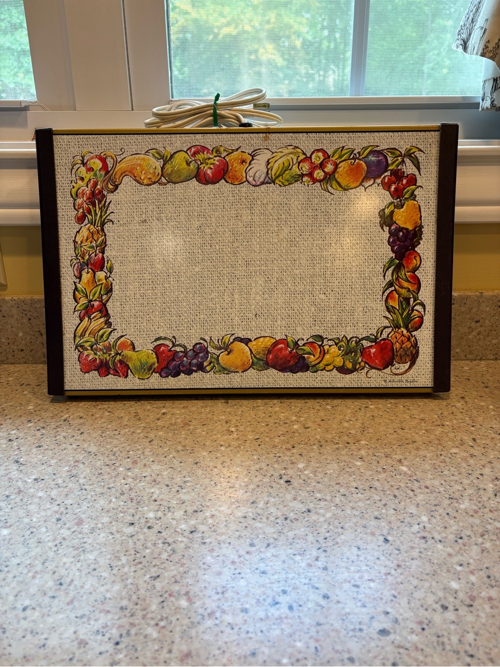 Vintage 1970s Warm-O-Tray Electric Food Warming Tray Designed by Salvatore Pugli